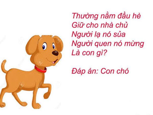 Câu đố về các con vật Trạng Nghé