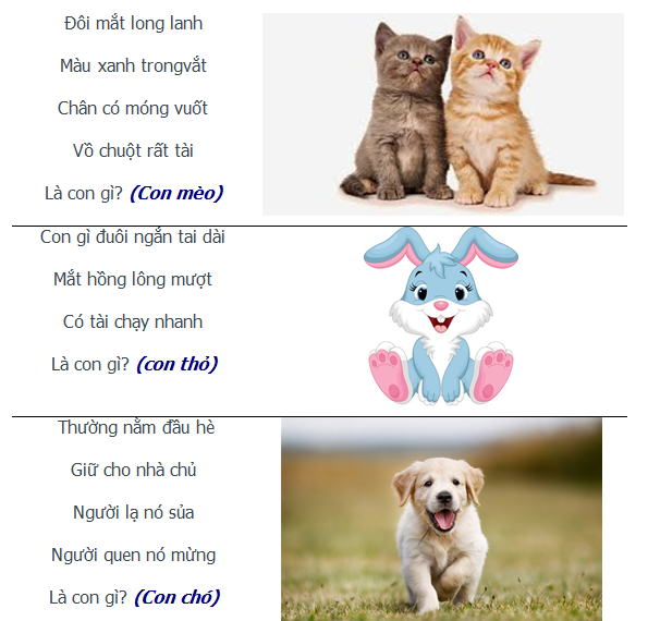 Câu đố về các con vật Trạng Nghé