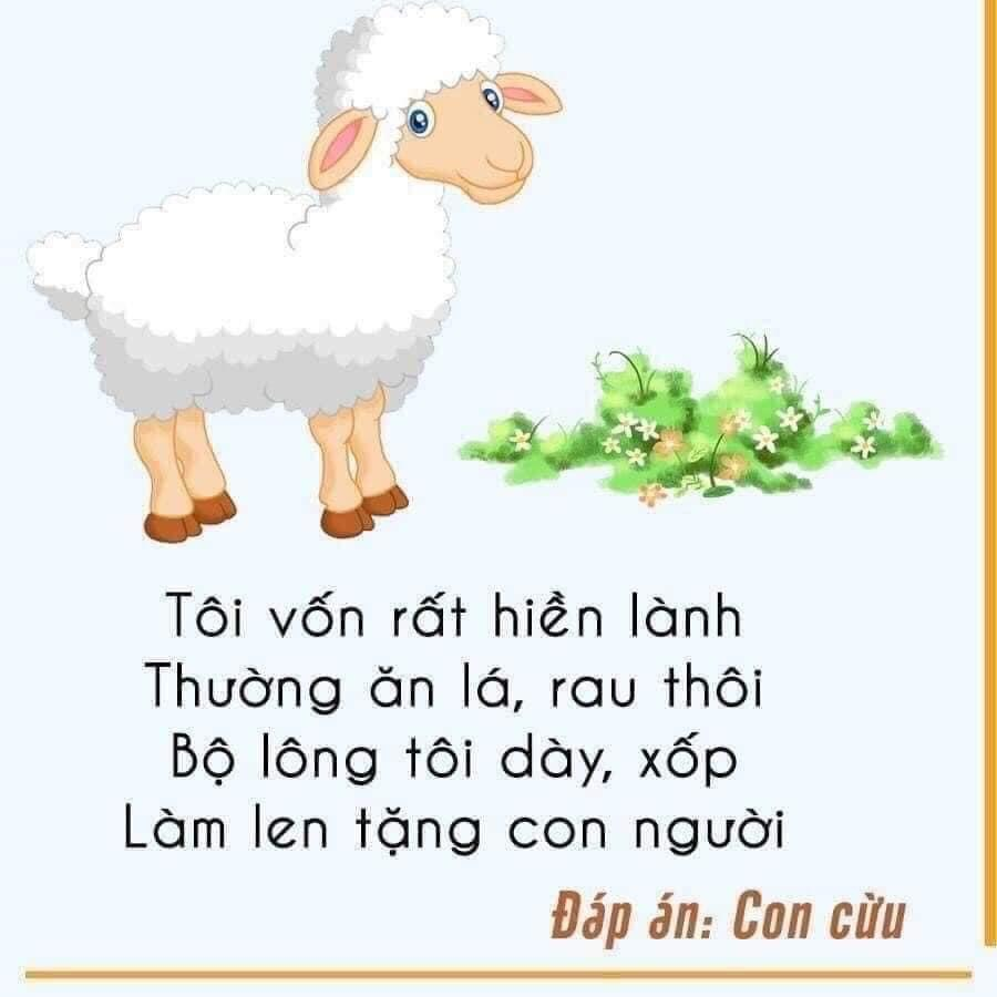 Câu đố về các con vật Trạng Nghé